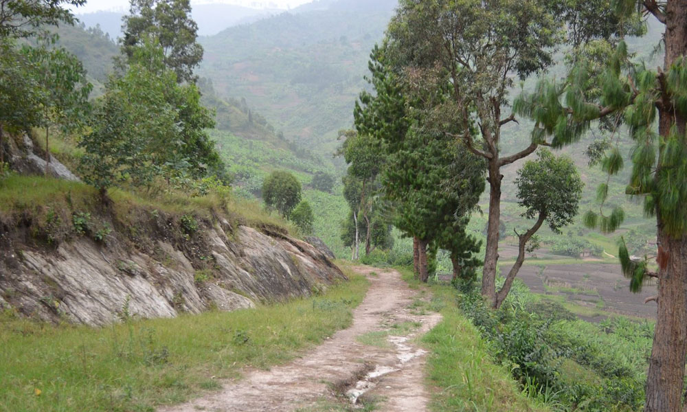 Congo Nile Trail Experience in Rwanda