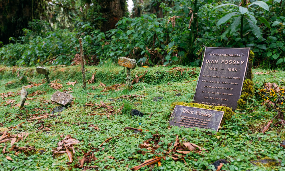 The Dian Fossey Trek in Rwanda's Volcanoes National Park