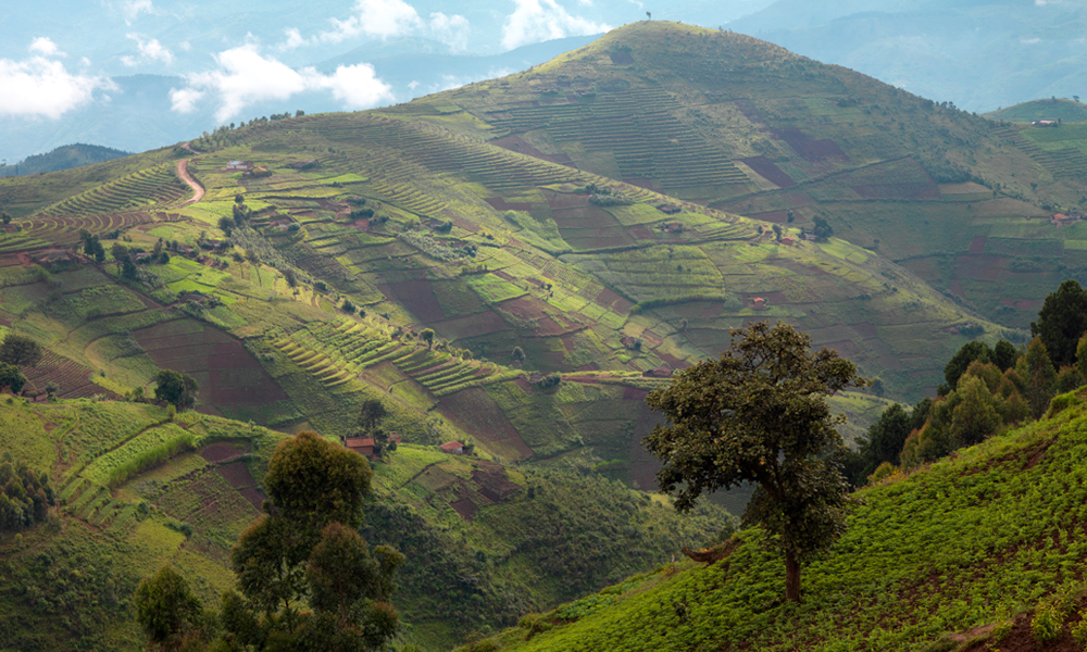 Rwanda land scape