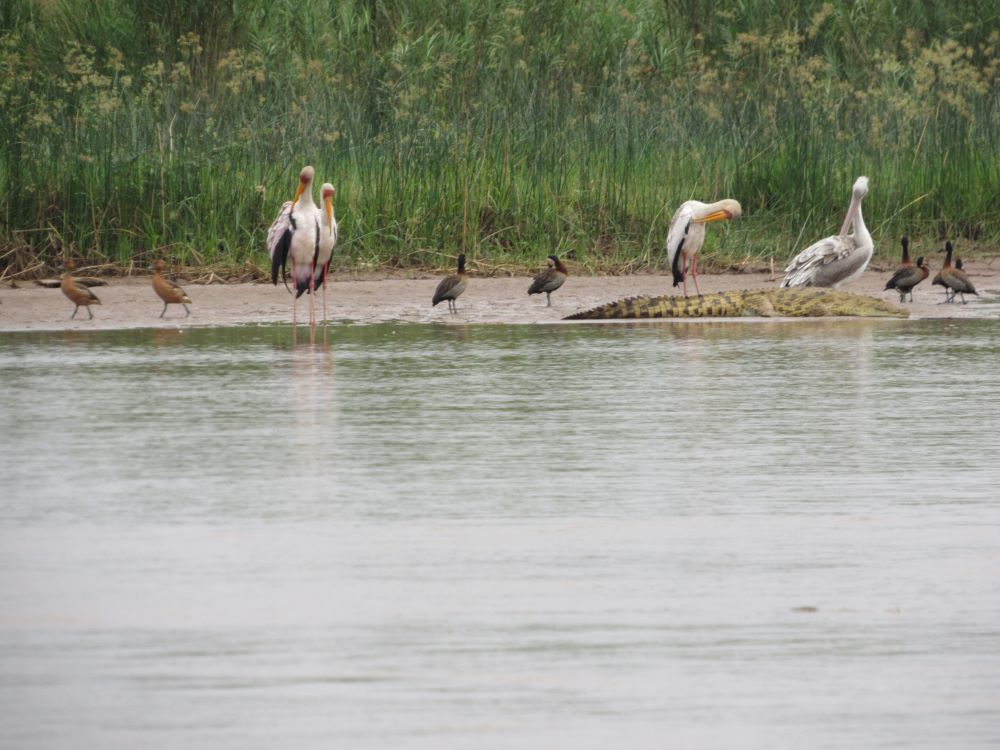 Rusizi river 