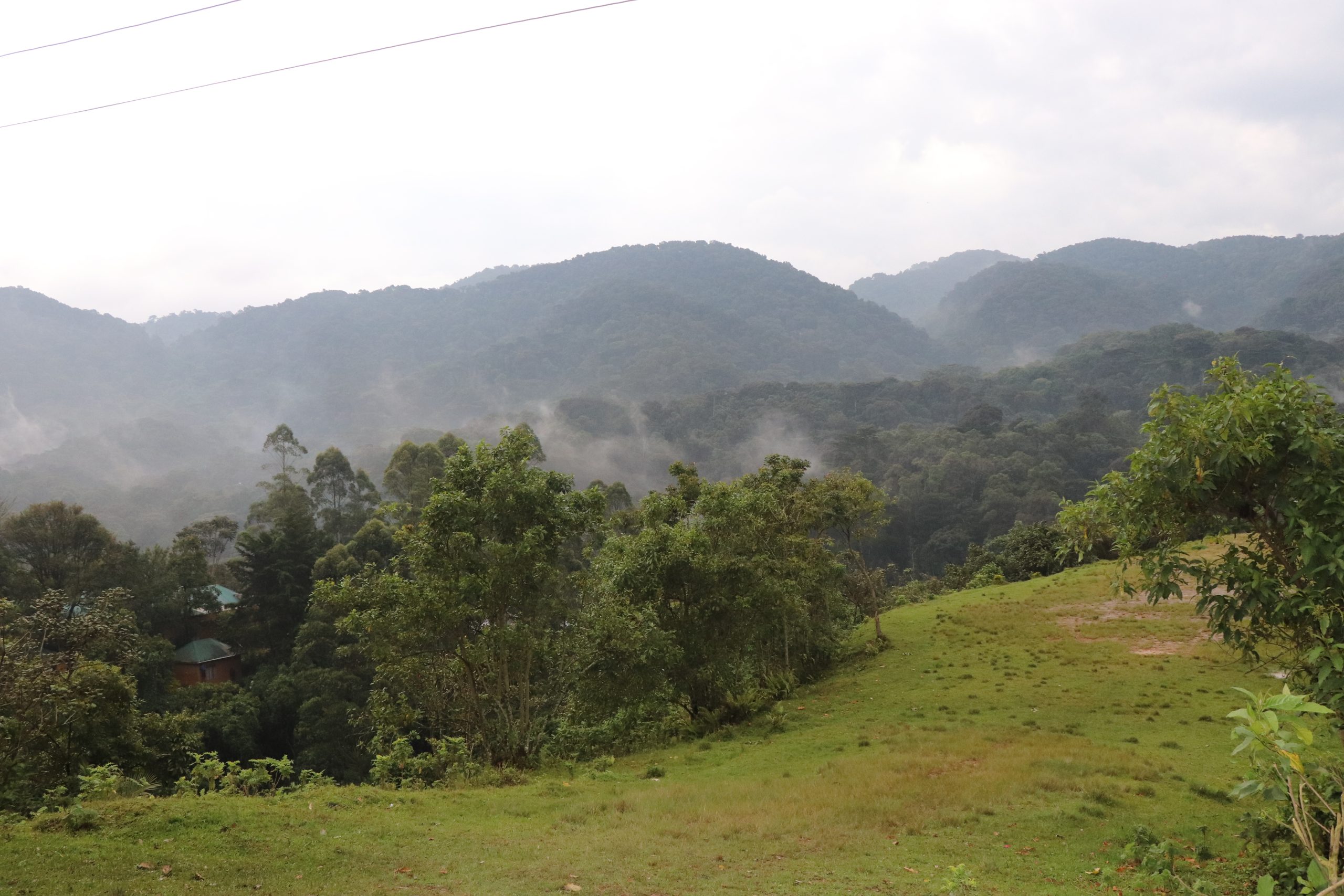 Bwindi NP